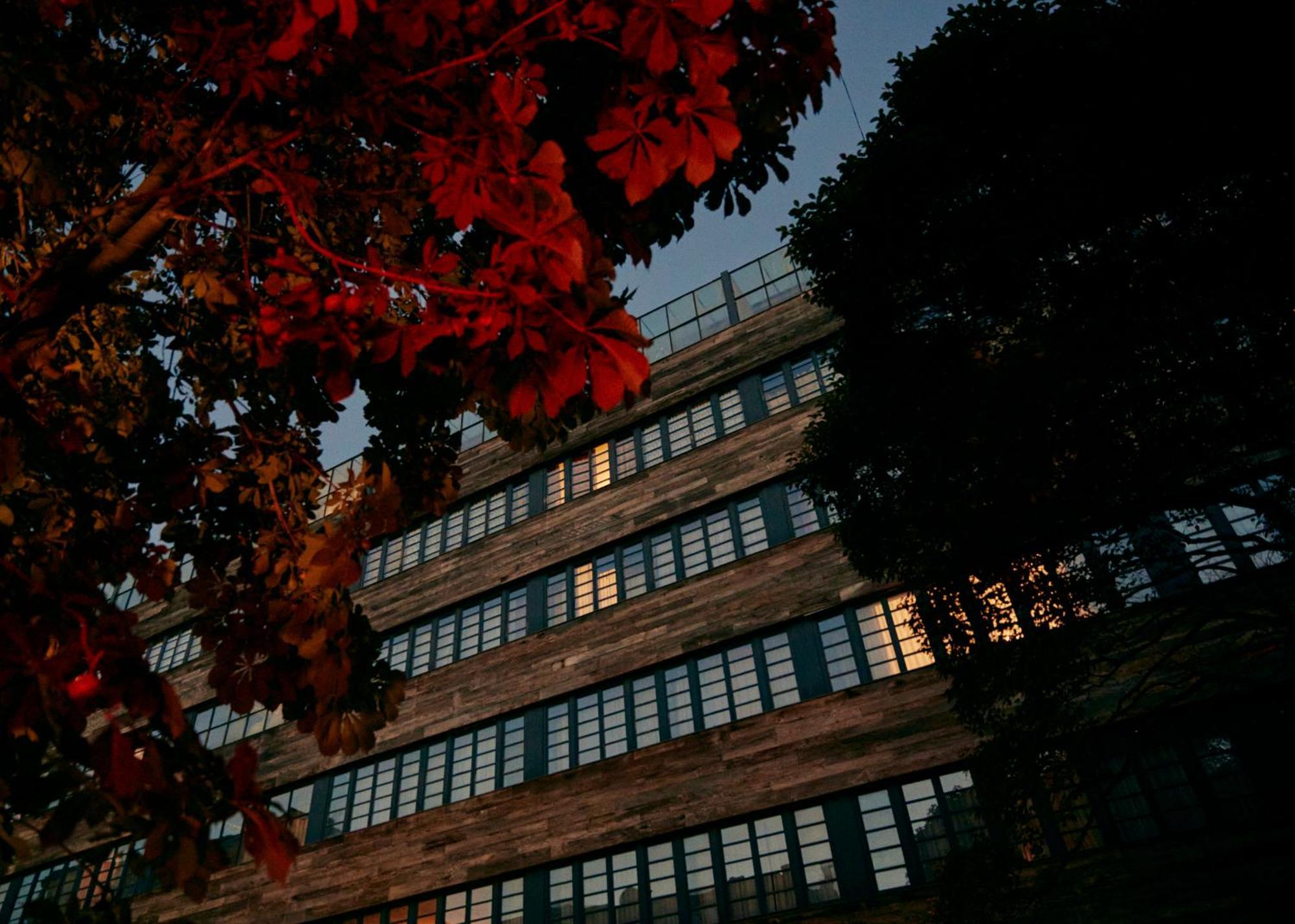 فندق رومز تبليسي المظهر الخارجي الصورة The main building of the university